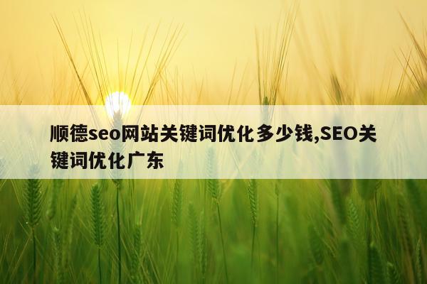 顺德seo网站关键词优化多少钱,SEO关键词优化广东