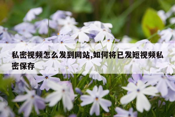 私密视频怎么发到网站,如何将已发短视频私密保存