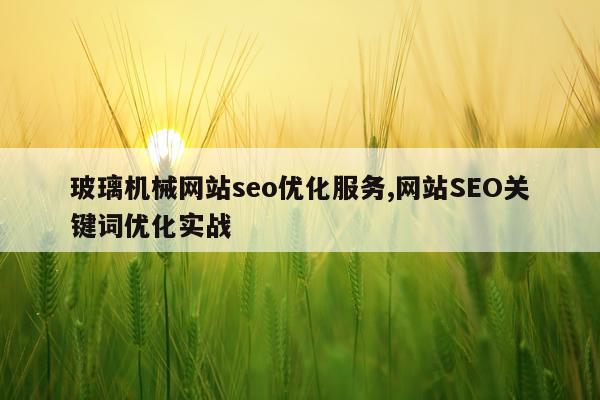 玻璃机械网站seo优化服务,网站SEO关键词优化实战