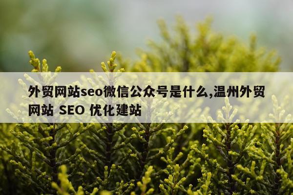外贸网站seo微信公众号是什么,温州外贸网站 SEO 优化建站