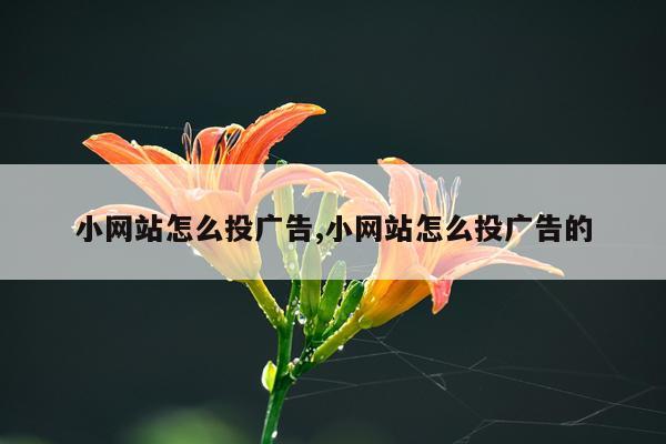 小网站怎么投广告,小网站怎么投广告的