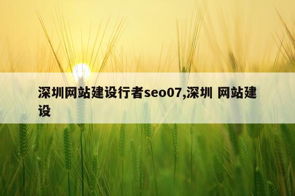 深圳网站建设行者seo07,深圳 网站建设