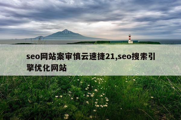 seo网站案审慎云速捷21,seo搜索引擎优化网站