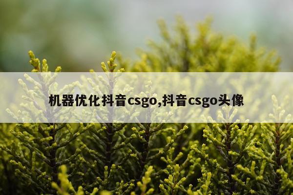 机器优化抖音csgo,抖音csgo头像