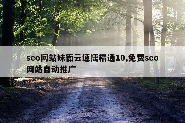 seo网站妹衙云速捷精通10,免费seo网站自动推广