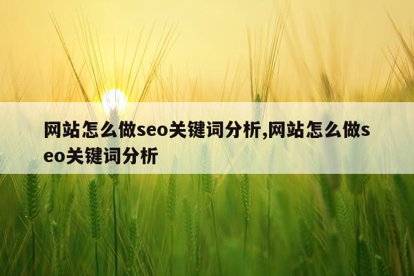网站怎么做seo关键词分析,网站怎么做seo关键词分析