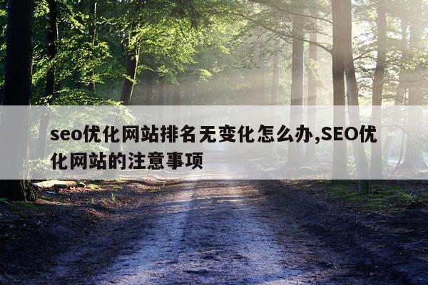 seo优化网站排名无变化怎么办,SEO优化网站的注意事项