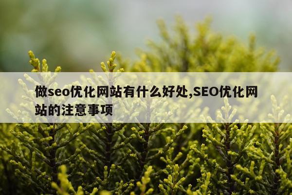 做seo优化网站有什么好处,SEO优化网站的注意事项