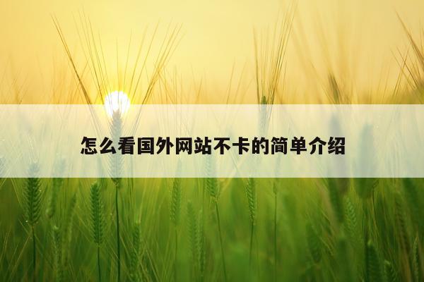 怎么看国外网站不卡的简单介绍