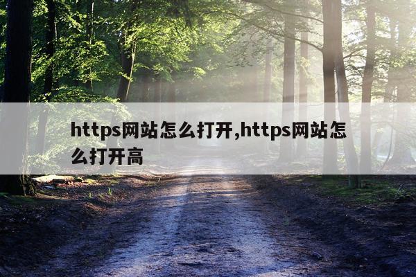 https网站怎么打开,https网站怎么打开高