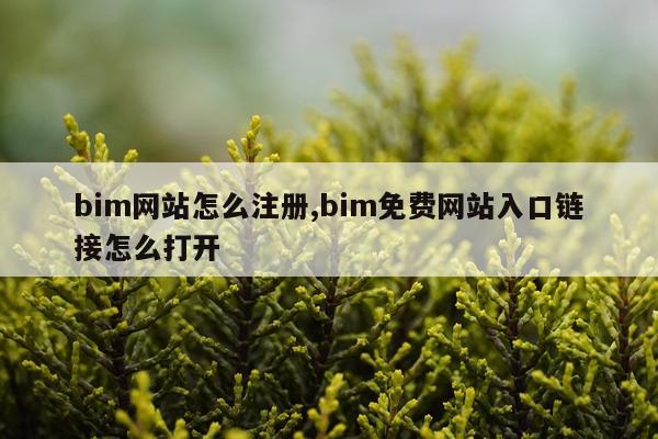 bim网站怎么注册,bim免费网站入口链接怎么打开