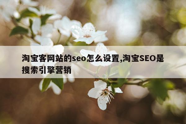 淘宝客网站的seo怎么设置,淘宝SEO是搜索引擎营销