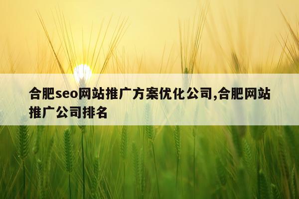 合肥seo网站推广方案优化公司,合肥网站推广公司排名