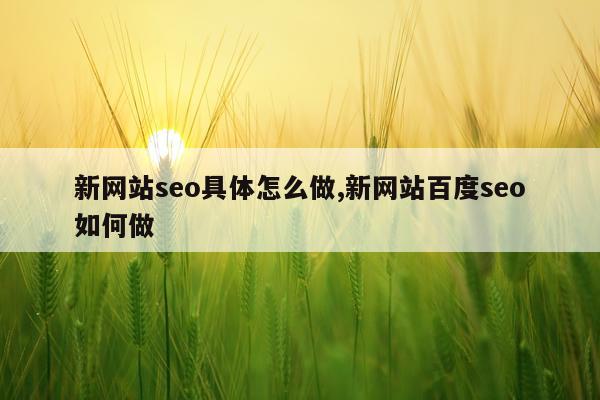 新网站seo具体怎么做,新网站百度seo如何做