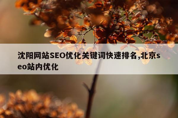 沈阳网站SEO优化关键词快速排名,北京seo站内优化