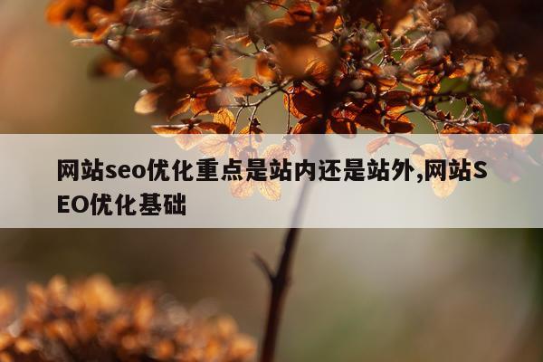 网站seo优化重点是站内还是站外,网站SEO优化基础