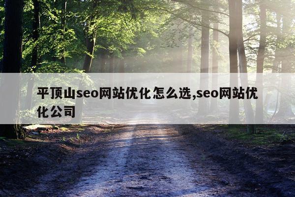 平顶山seo网站优化怎么选,seo网站优化公司