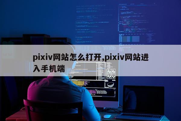 pixiv网站怎么打开,pixiv网站进入手机端