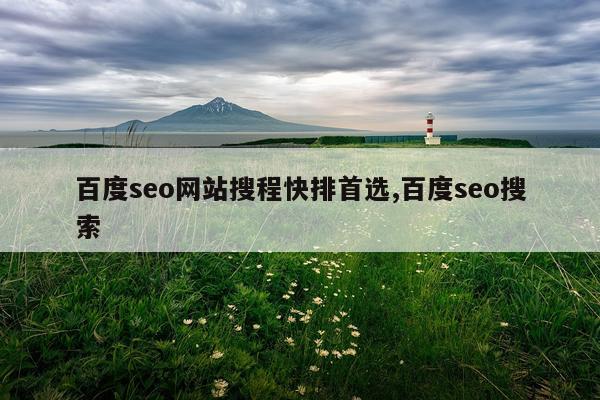 百度seo网站搜程快排首选,百度seo搜索