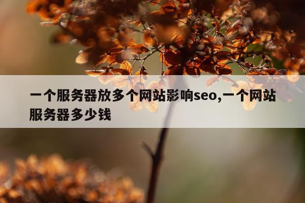一个服务器放多个网站影响seo,一个网站服务器多少钱