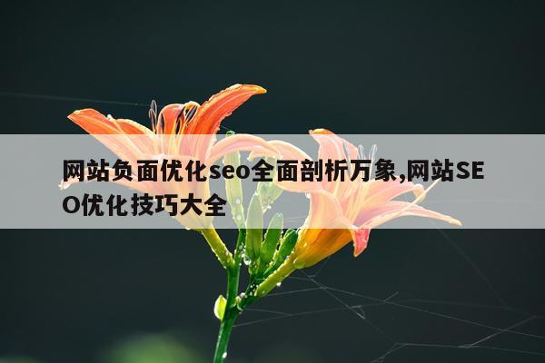 网站负面优化seo全面剖析万象,网站SEO优化技巧大全