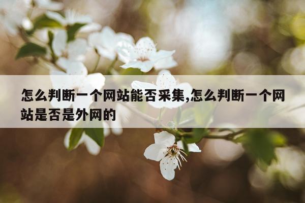 怎么判断一个网站能否采集,怎么判断一个网站是否是外网的