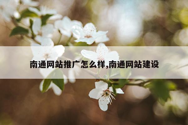 南通网站推广怎么样,南通网站建设