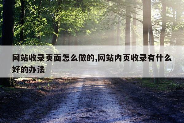 网站收录页面怎么做的,网站内页收录有什么好的办法