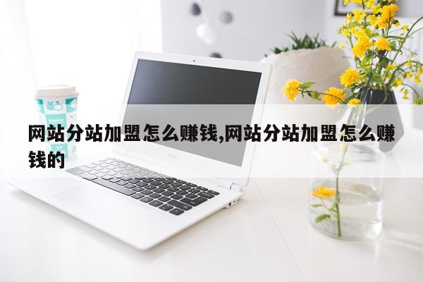 网站分站加盟怎么赚钱,网站分站加盟怎么赚钱的