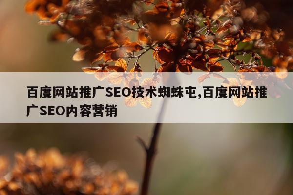 百度网站推广SEO技术蜘蛛屯,百度网站推广SEO内容营销