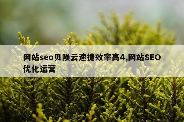 网站seo贝陨云速捷效率高4,网站SEO优化运营
