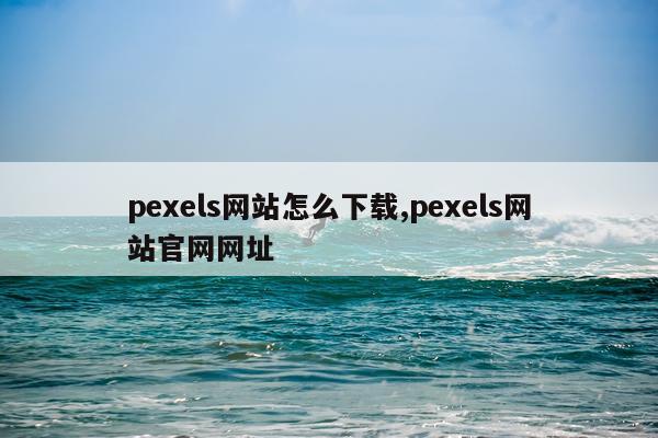 pexels网站怎么下载,pexels网站官网网址
