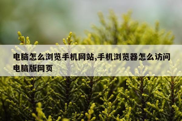 电脑怎么浏览手机网站,手机浏览器怎么访问电脑版网页