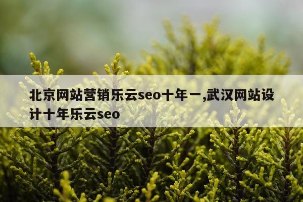 北京网站营销乐云seo十年一,武汉网站设计十年乐云seo