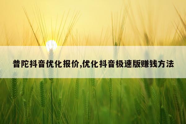 普陀抖音优化报价,优化抖音极速版赚钱方法