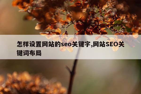 怎样设置网站的seo关键字,网站SEO关键词布局