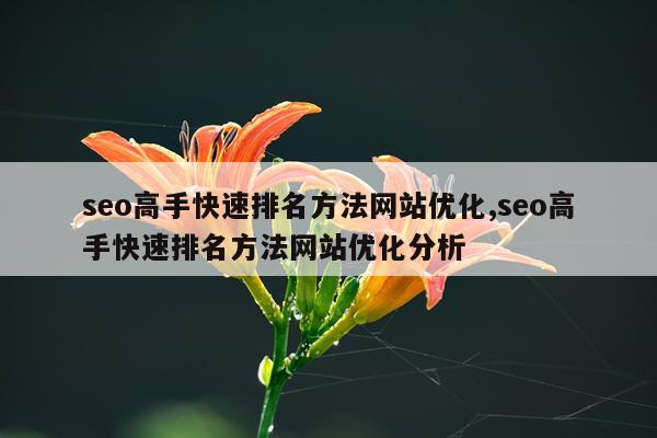 seo高手快速排名方法网站优化,seo高手快速排名方法网站优化分析