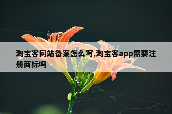 淘宝客网站备案怎么写,淘宝客app需要注册商标吗