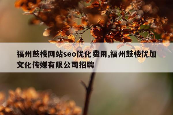 福州鼓楼网站seo优化费用,福州鼓楼优加文化传媒有限公司招聘