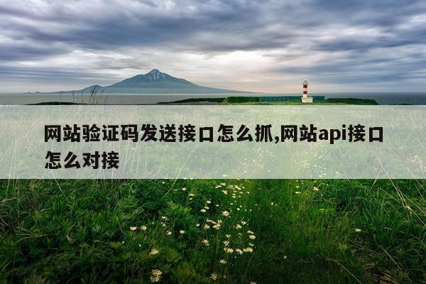 网站验证码发送接口怎么抓,网站api接口怎么对接