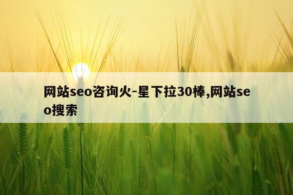 网站seo咨询火-星下拉30棒,网站seo搜索