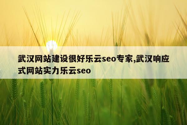 武汉网站建设很好乐云seo专家,武汉响应式网站实力乐云seo