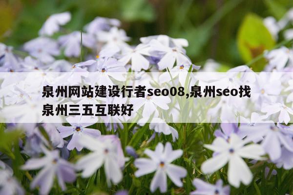泉州网站建设行者seo08,泉州seo找泉州三五互联好