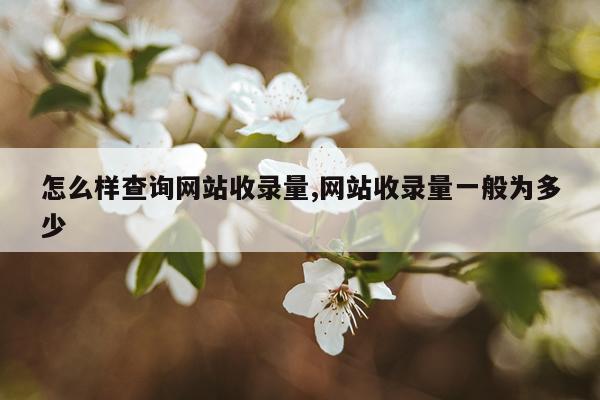 怎么样查询网站收录量,网站收录量一般为多少