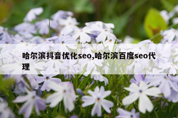 哈尔滨抖音优化seo,哈尔滨百度seo代理