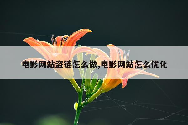 电影网站盗链怎么做,电影网站怎么优化