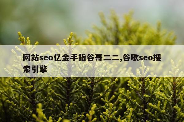 网站seo亿金手指谷哥二二,谷歌seo搜索引擎