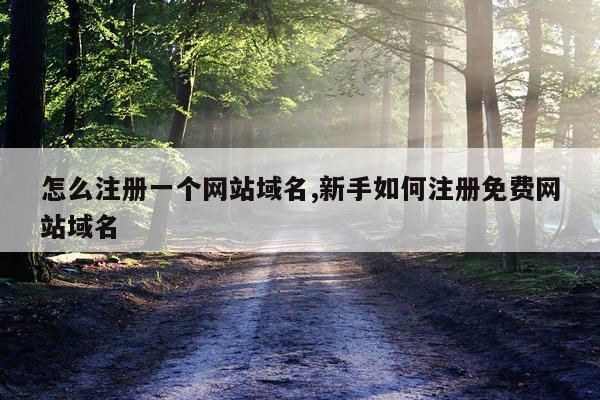 怎么注册一个网站域名,新手如何注册免费网站域名