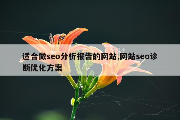 适合做seo分析报告的网站,网站seo诊断优化方案