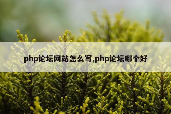php论坛网站怎么写,php论坛哪个好